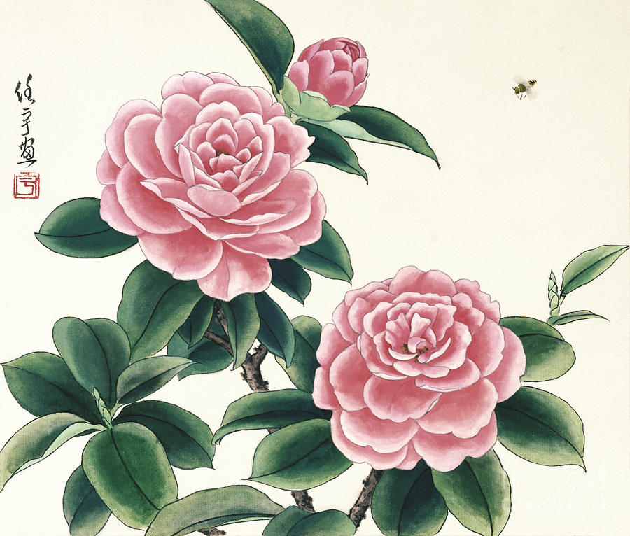 Pink Camellias I Painting by Ren Yu