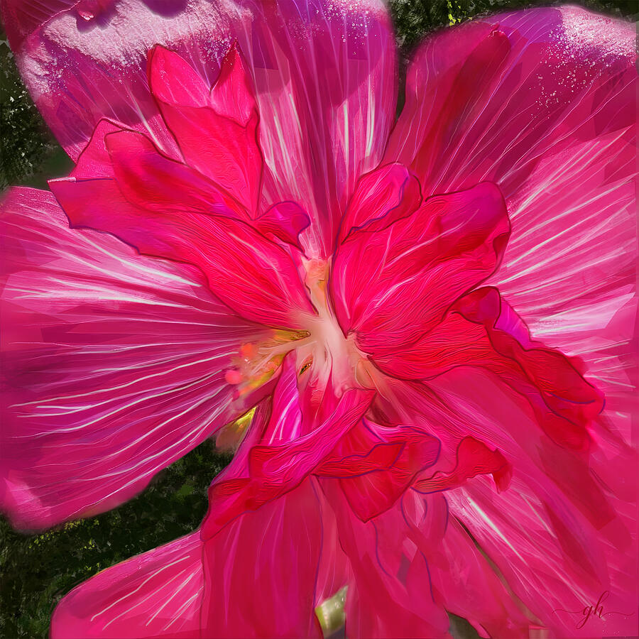 Bright Pink Hibiscus Bloom Digital Art - Can-can by Gina Harrison