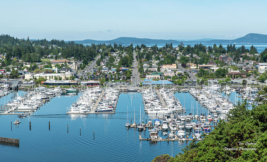 Cap Sante Marina and 11th St in Anacortes Photograph by Tom Cochran