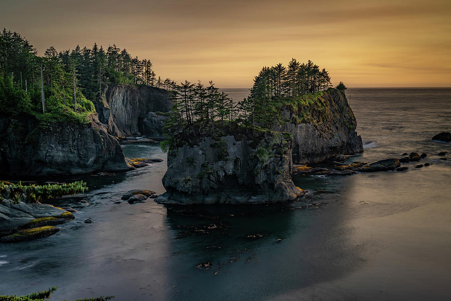 Cape Flattery No. 3 Photograph by Matt Halvorson