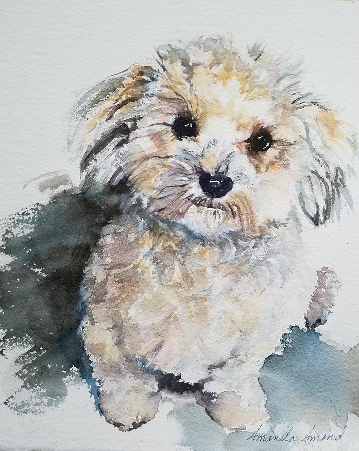 Carmina Painting by Amanda Amend