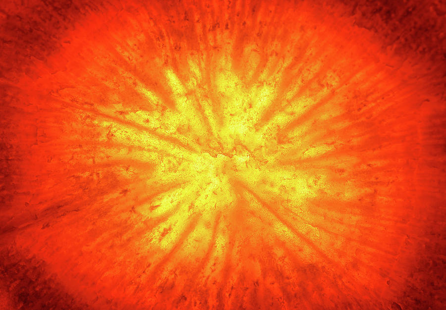 Carrot Sunburst Photograph by Steven Nelson