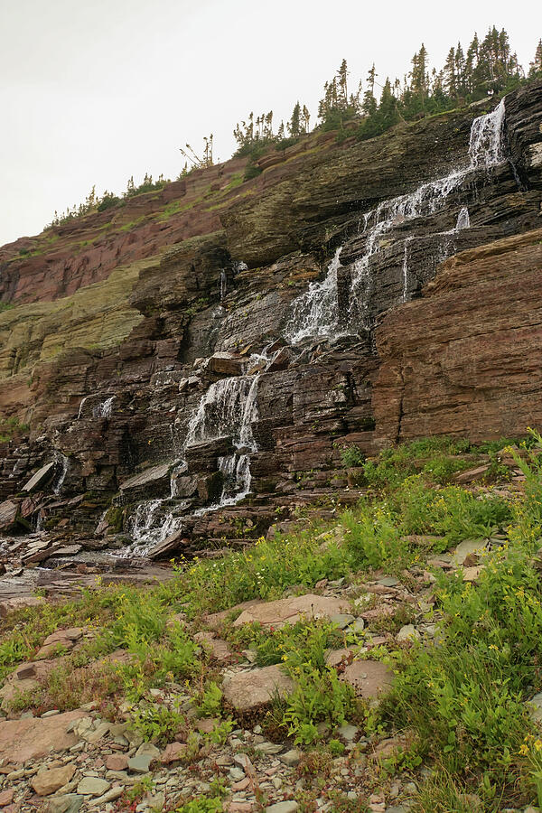 Cascade Down a Wall at Logan Pass Photograph by Nancy Gleason