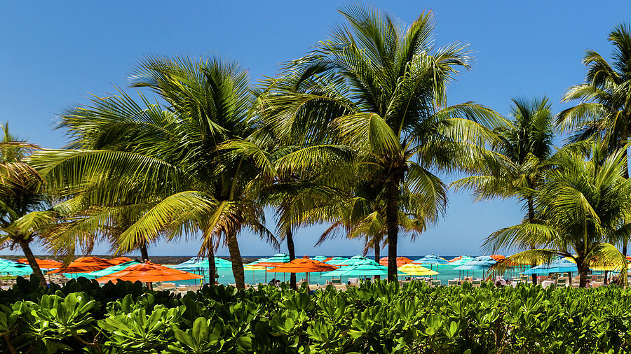 Castaway Cay Photograph by David Fountain