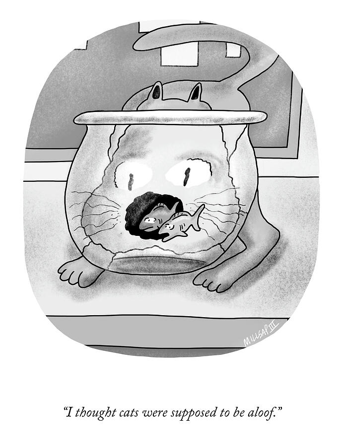 Cats are Supposed to be Aloof by Lonnie Millsap