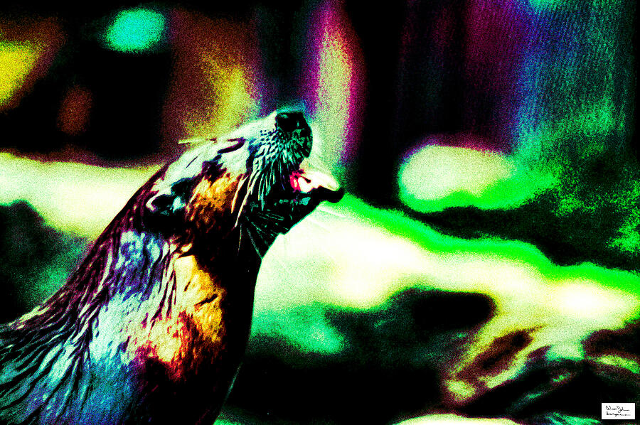 Colorful Otter Portrait Photograph - CgyZoo- Otter by Alex John Bergerman