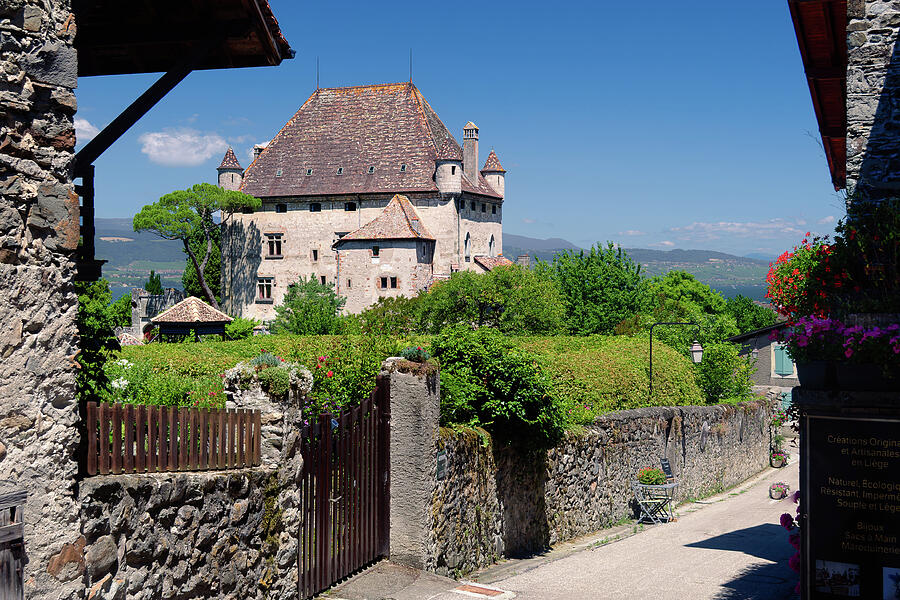 Château in the Countryside Photograph - Chateau dYvoire by Steven Nelson