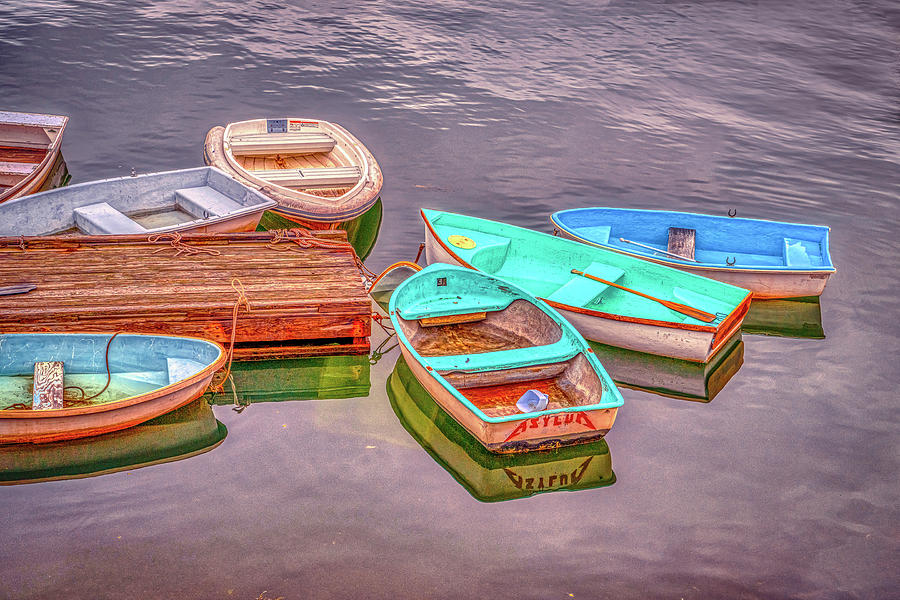 Cherish the Journey Photograph by Penny Polakoff