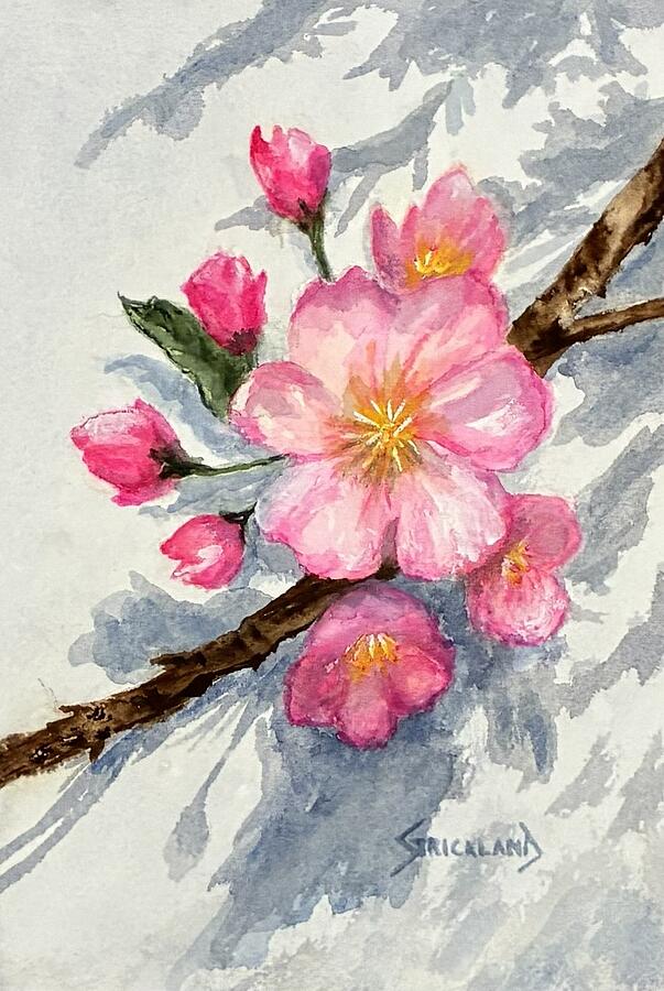 Cherry Blossom Branch Painting - Cherry Blossom Branch by Judy Strickland