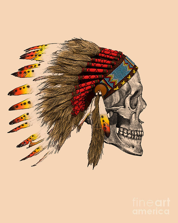 indian head dress X04 Three colors Chief Feather Headdress /native american Style Warbonnet Features Include American Indian Headdress SVG, PNG,