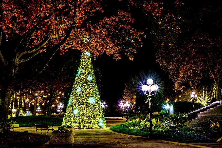 Christmas at the Galleria Garden Photograph by Anthony Hightower