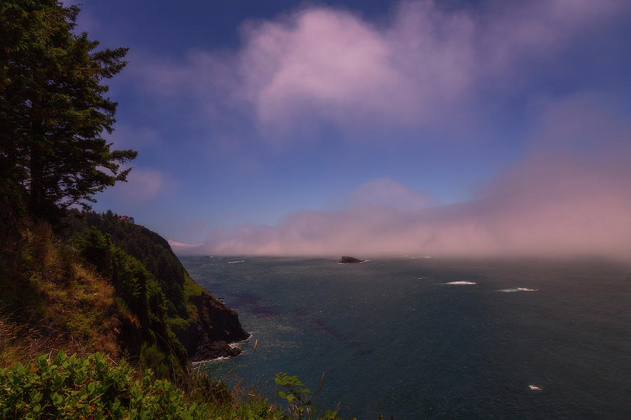 Cliff on the Sea Photograph by DeAnna Lord