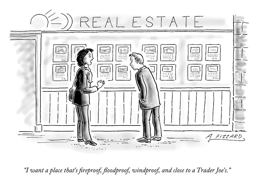 Close to a Trader Joes Drawing by Anne Fizzard