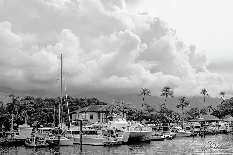 Cloud Drama Over The Harbor Photograph by Charlie Osborn