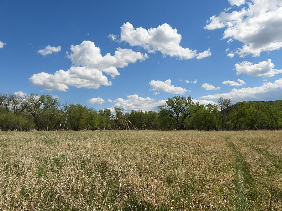 Clouds Over The Meadow Photograph by Amanda R Wright