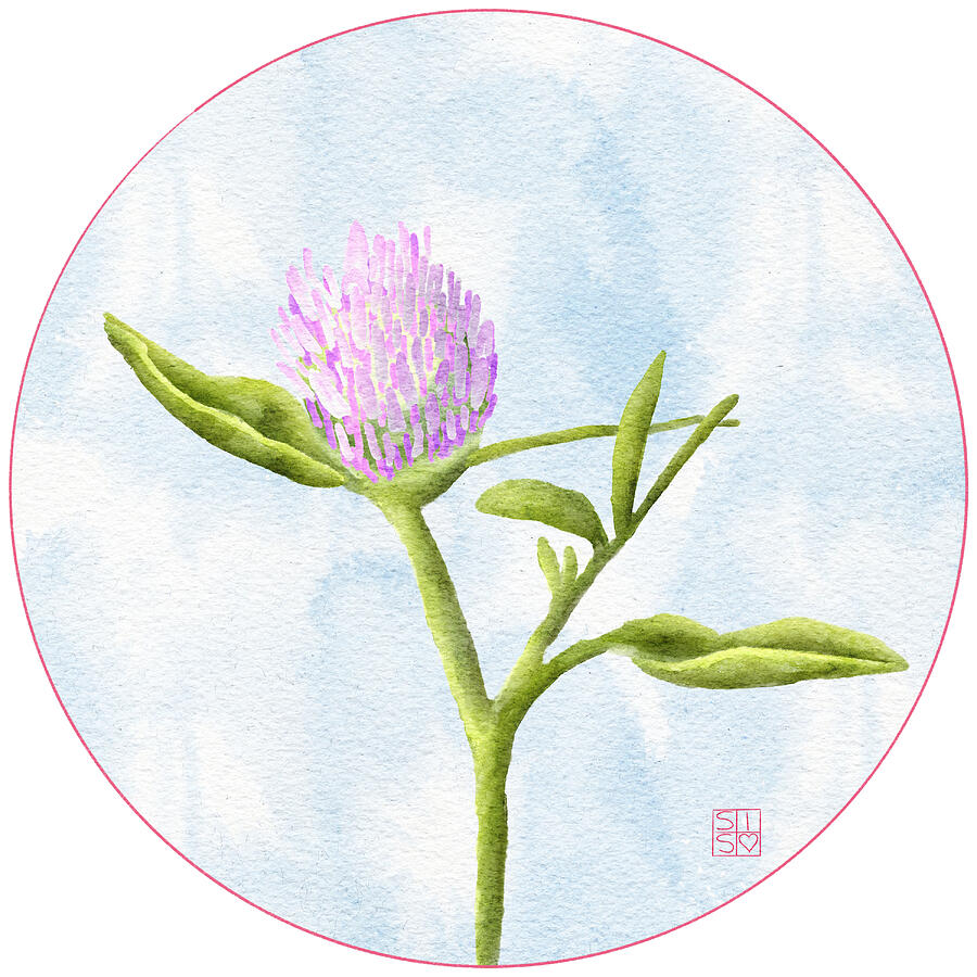 Clover Flower Digital Art by Snow Iris Studio