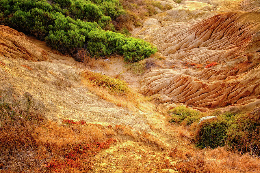 Coastal Colors. Photograph by Jeff Sinon