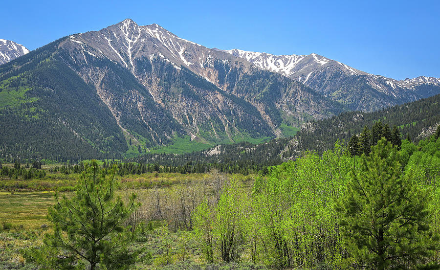 Colorado Rockies In Summer Photograph by Dan Sproul