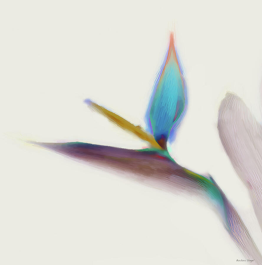 Colorful Bird of Paradise Blossom Digital Art - Colorful Bird of Paradise Blossom by Barbara Siegel