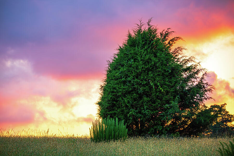 Colorful Sunset at Yorktown Battlefield Photograph by Rachel Morrison