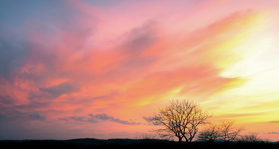 Colors over the Preserve Photograph by Jason Fink