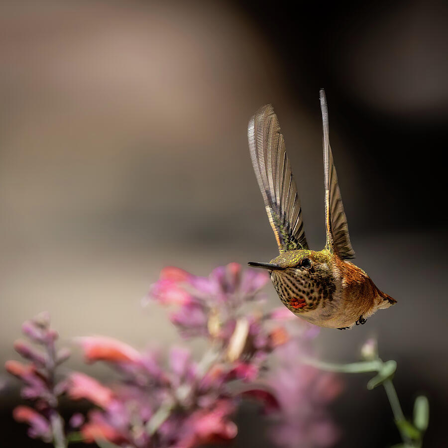 Coming At You Photograph by Tim Lyden