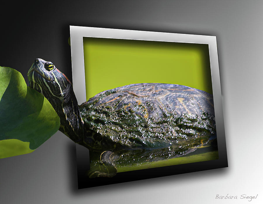 Coming Out Photograph by Barbara Siegel