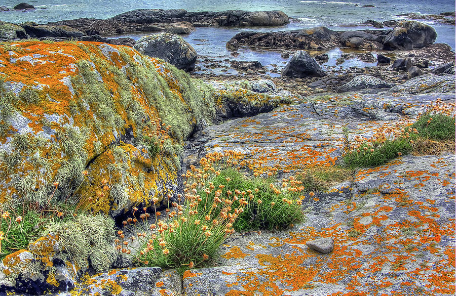 Connemara Photograph by Randall Dill