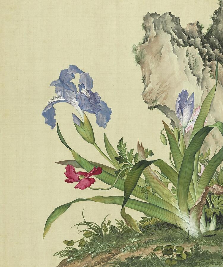 Corn Poppies and Fringed Blue Iris Painting - Corn poppies and fringed blue iris - Chinese flower paintings by Giuseppe Castiglione by Giuseppe Castiglione Lang Shining
