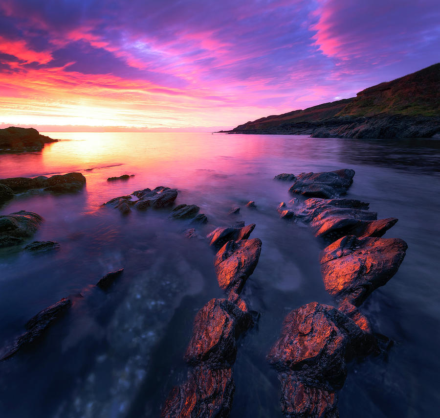 Cornwall Purple Fire Photograph by Monamifoto