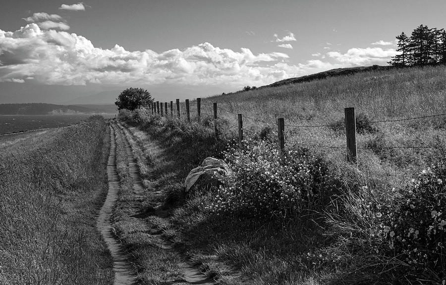 Country Lane at Ebeys Landing Photograph by Mary Lee Dereske