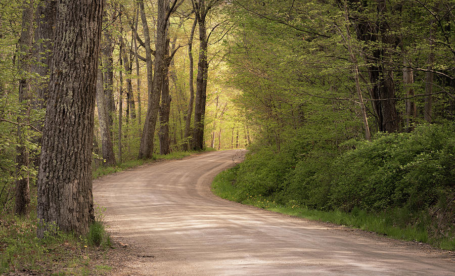 Country Road Photograph by Dave King