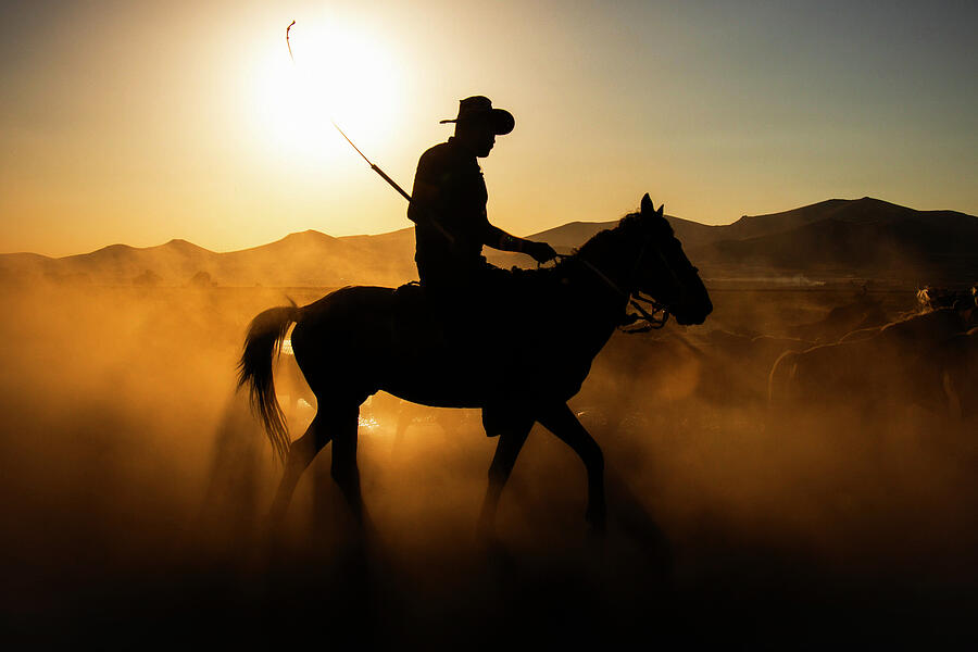 Cowboy Silhouette Photograph by Printed View