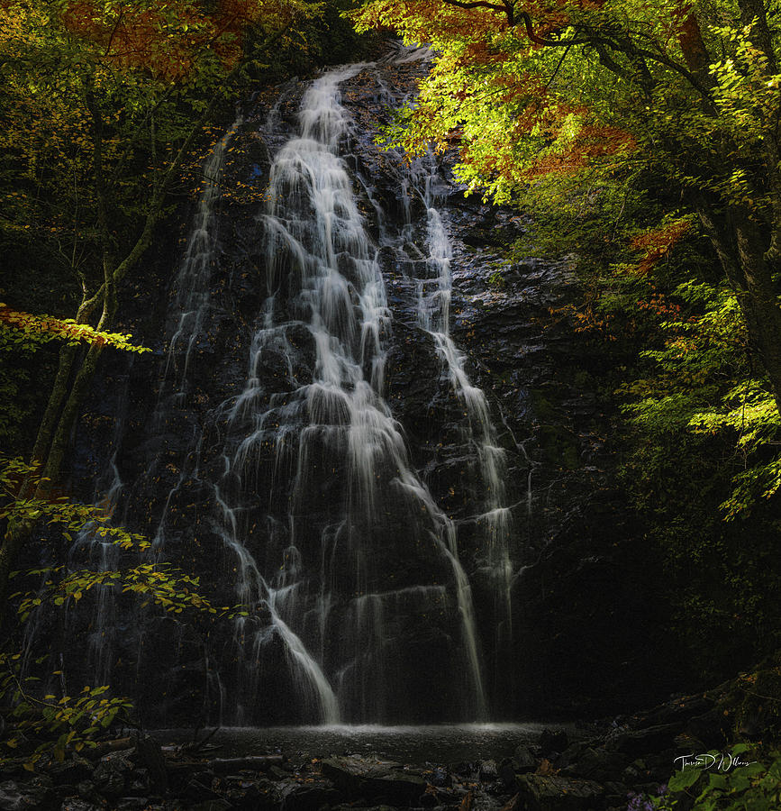 Crabtree Falls Photograph by Theresa D Williams Smoky Mountains