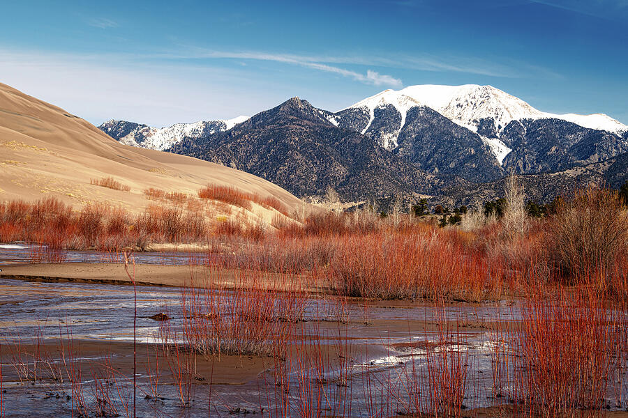 Creekside at the Dunes Photograph by Jon Snyder