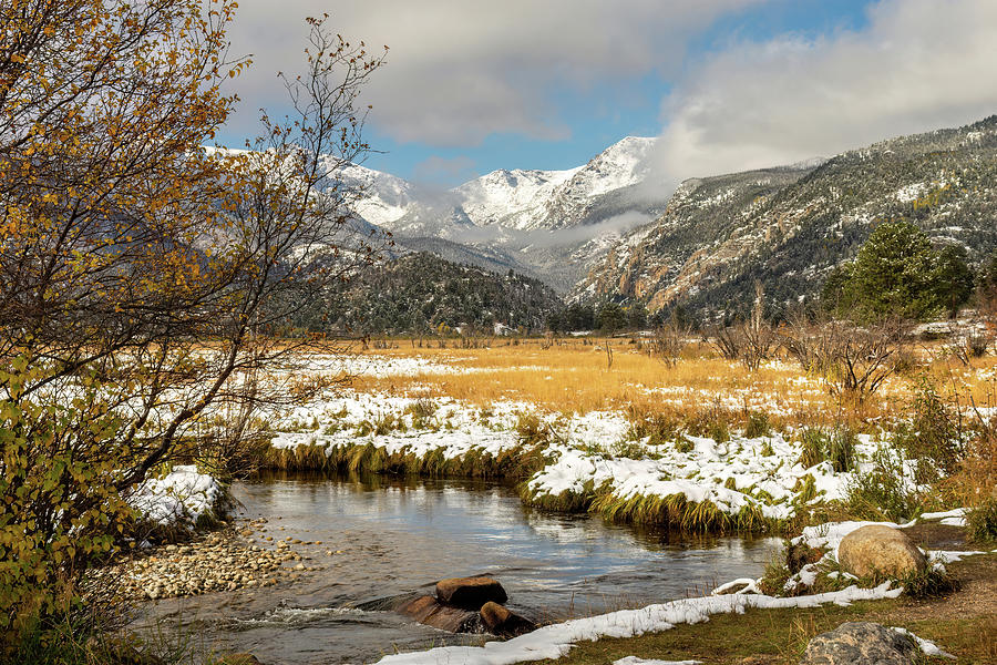 Creekside Rocky Mountains Photograph by Diane Moller