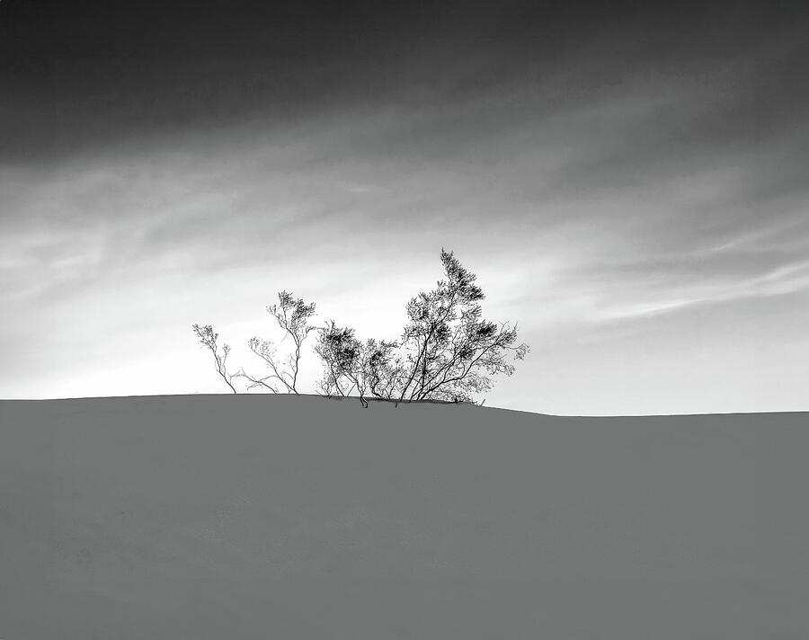 The Morning Light Photograph by Joe Schofield