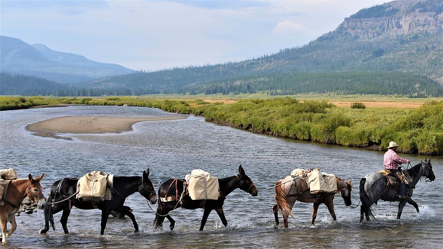 Crossing the Yellowstone Photograph by Alden White Ballard