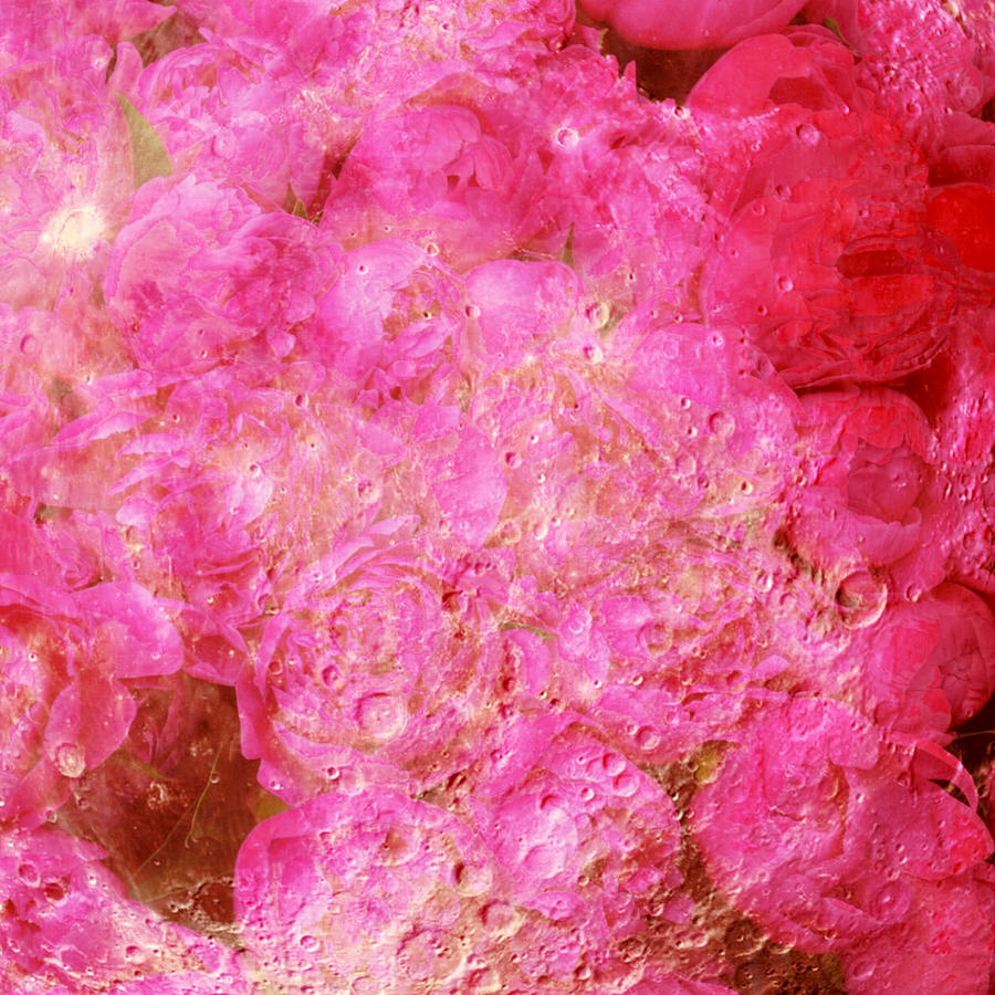 Crush Digital Art by Canessa Thomas