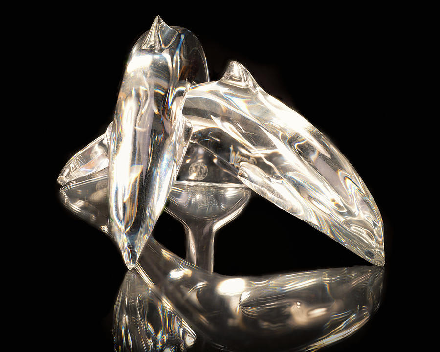 Crystal Dolphins Photograph by Steven Nelson