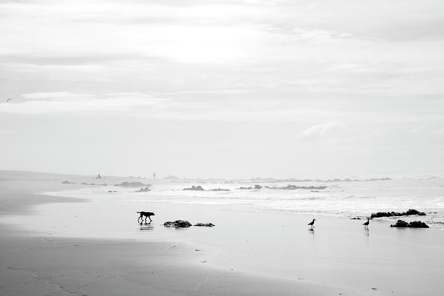 Curiosity Photograph by Mia Badenhorst