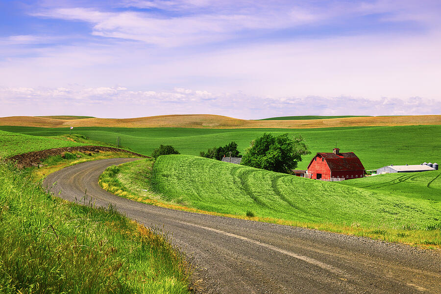 Scenic Countryside with Red Barn Photograph - Curves of the Countryside by Kevin Schwalbe