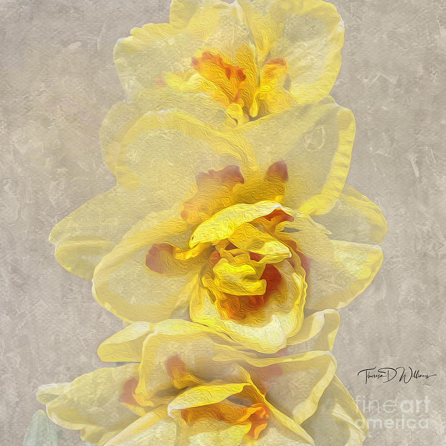 Tennessee Spring Layers Photograph by Theresa D Williams Smoky Mountains