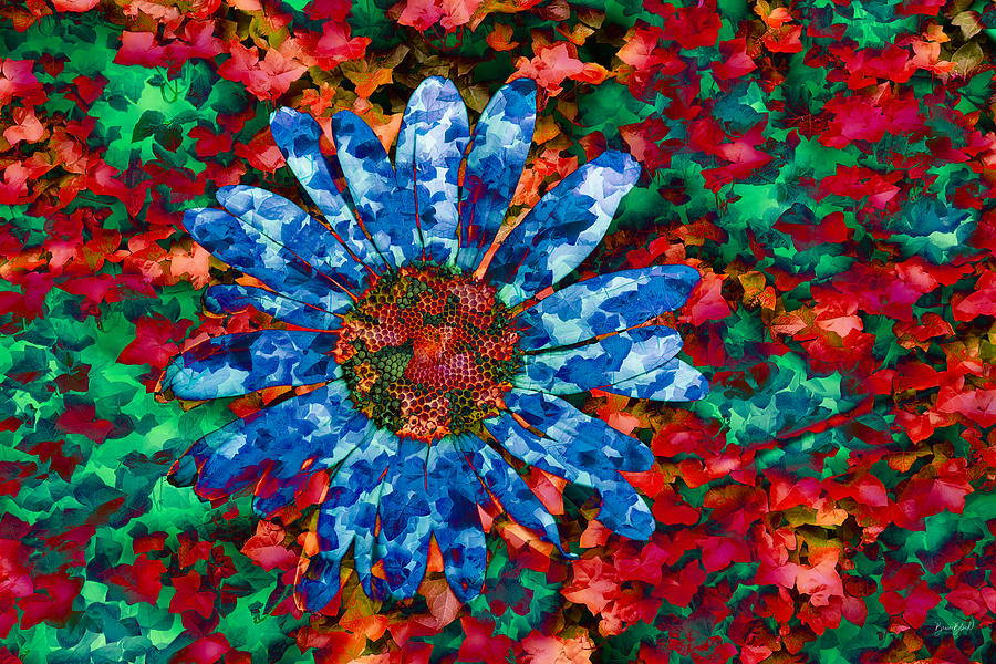 Daisy and ivy Photograph by Bruce Block