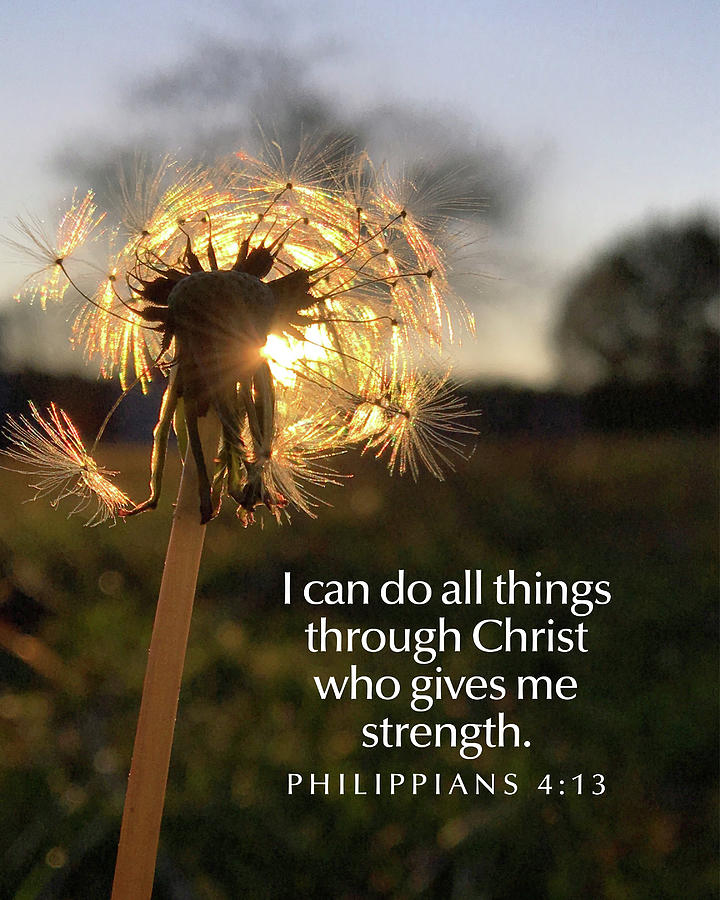 Dandelion - I Can Do All Things Photograph by Greg Lane