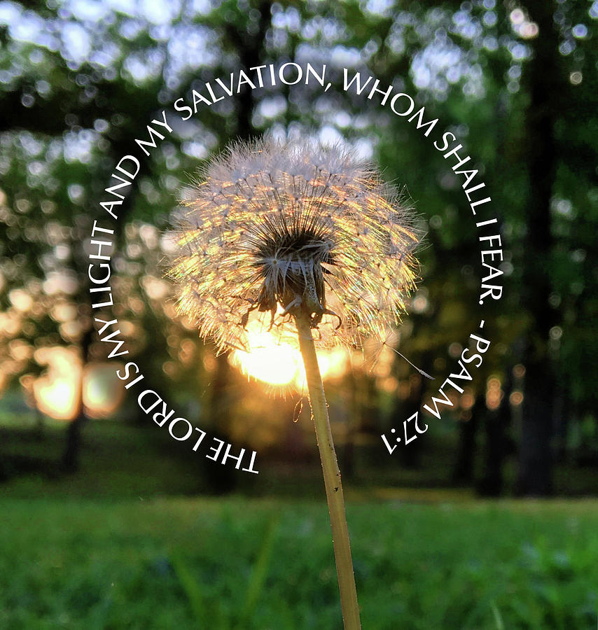 Dandelion - The Lord is My Light Photograph by Greg Lane