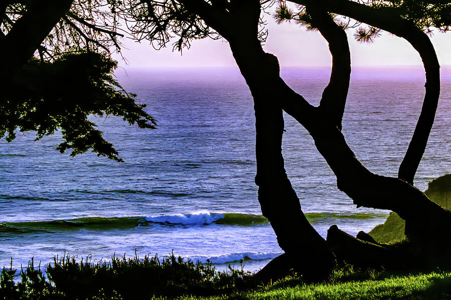 Davenport Greyhound Rock Coast California Photograph by Tommy Farnsworth