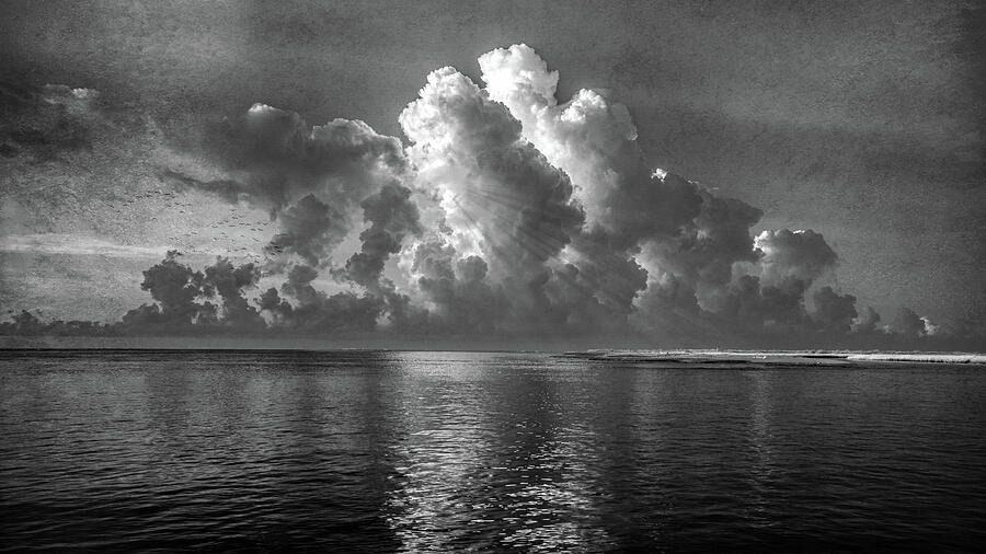 Dawn at Dewees Photograph by Maryanne Keeling