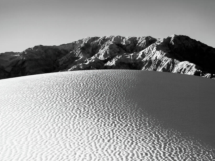 Dawn Illuminates the Mesquite Ripples Photograph by Joe Schofield