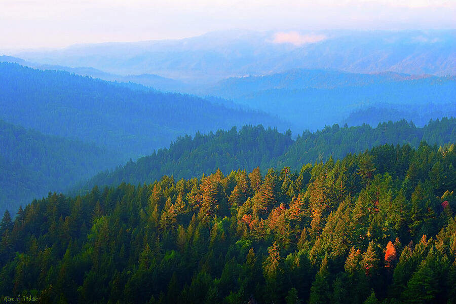 Dawn On The Mist Covered Hills of Northern California by Mark E Tisdale